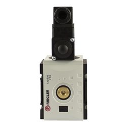 Riegler Verteiler »FUTURA«, BG 2, G 3/8, mit Druckschalter 0,5 - 10 bar