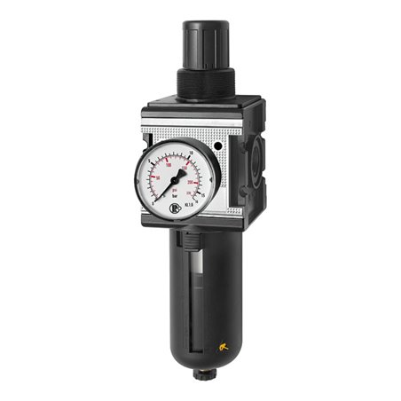 Riegler Filterregler »multifix«, mit PC-Behälter, Schutzkorb, BG 4, G 3/4