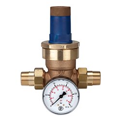 Riegler Druckregler für Wasser, inkl. Manometer, R 1, 0,2 - 2 bar