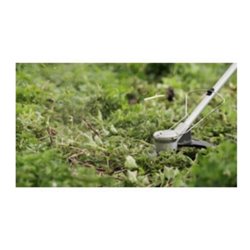 Bosch Freischneider AdvancedBrushCut 36V-23-750