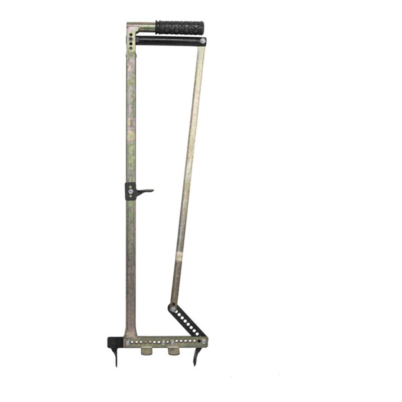 Orit Steinzieher 'Einstein'