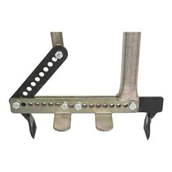 Orit Steinzieher 'Einstein'