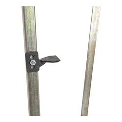 Orit Steinzieher 'Einstein'