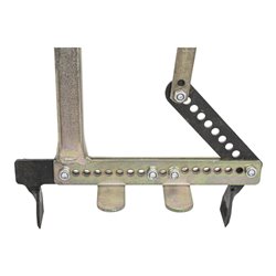 Orit Steinzieher 'Einstein'