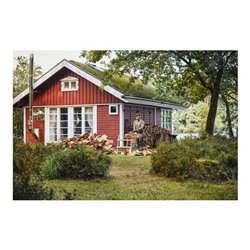 STIHL Benzin-Motorsäge MS 162, PM3, Schienenlänge 30 cm