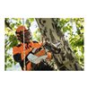 STIHL Akku-Kettensäge MSA 161 T, PM3, Schienenlänge 30 cm