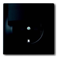 Busch-Jaeger Steckdosen-Einsatz Klappd.,schwarz matt 20 EUK-775