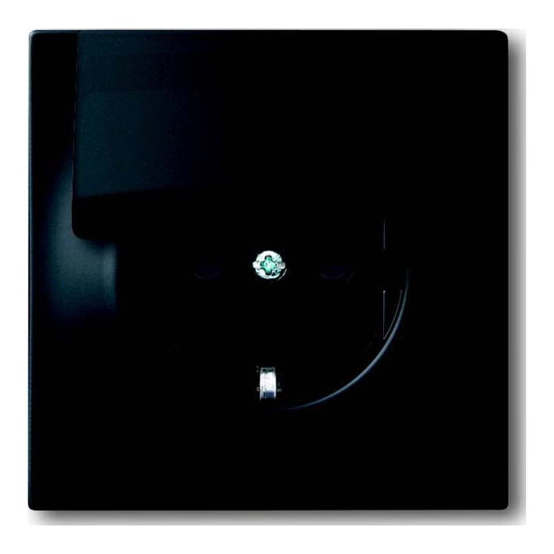 Busch-Jaeger Steckdosen-Einsatz Klappd.,schwarz matt 20 EUK-775