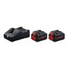 Bosch Starter-Set 2 x ProCORE18V 8.0Ah + GAL 18V-160
