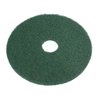 Nilfisk Eco Pad 12', Ø 305 mm, grün
