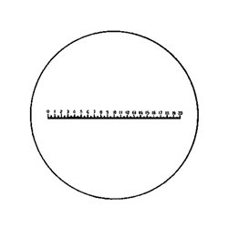 ESCHENBACH Präzisions-Skala Typ D