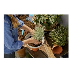 Gardena ClickUp Pflanzschale