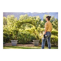 Stihl Akku-Astschere ASA 20