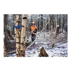 Stihl Akku-Hochentaster HTA 150, ohne Akku und Ladegerät, Forstvariante