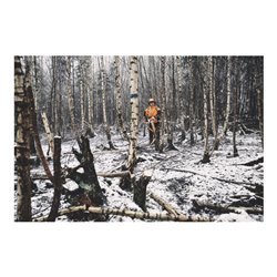 Stihl Akku-Hochentaster HTA 150, ohne Akku und Ladegerät, Forstvariante