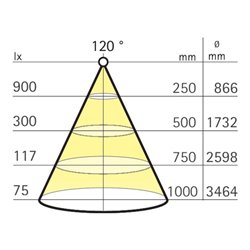 SurfLine Mini A/E elox/op L2,5m, R81 WT23,5W, li