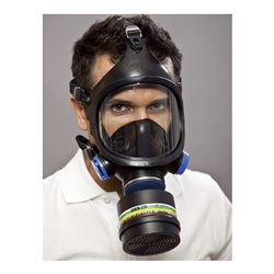 Ekastu Vollmaske C 607/Selecta (Klasse 2)