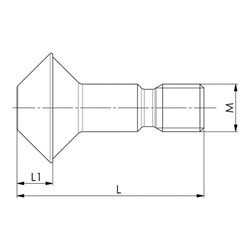 AMF Kombispanner Nr.6860 Gr.3 verz.