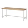 Rau Werkbank Modell 8000 BxTxH 2000x900x840mm