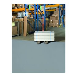 Moravia Hallenmarkierfarbe PROline-paint 5 l silbergrau RAL 7001