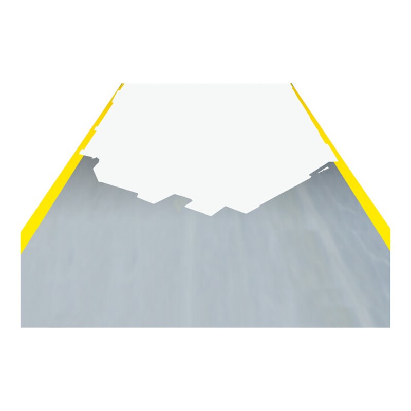 Moravia Hallenmarkierfarbe PROline-paint 5 l weiß RAL 9016