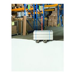 Moravia Hallenmarkierfarbe PROline-paint 5 l weiß RAL 9016