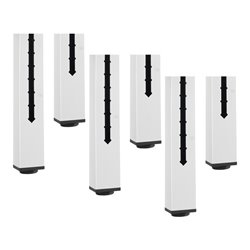 Rau Höhenverstellsatz Verstellweg 200mm 6-Fuß-Gestell