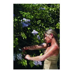 Felco 160L Gartenschere