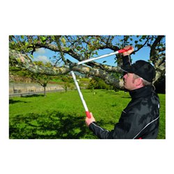 Felco 231 Getriebeastschere