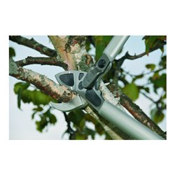 Felco 231 Getriebeastschere