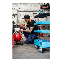 HAZET Werkstattwagen Assistent