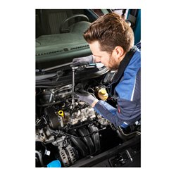 HAZET Zündkerzen-Steckschlüssel-Einsatz 880MGT-18 Vierkant hohl 10 mm (3/8 Zoll) Außen-Sechskant Profil 18