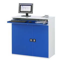 Rau Computer-Schrank - Modell 60 BxTxH 1100x520x1060mm