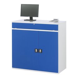 Rau Computer-Schrank - Modell 60 BxTxH 1100x520x1060mm