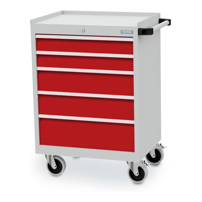 Bedrunka+Hirth Werkstattwagen T500-6 mit 5 Schubladen 2x100 2x150 1x200 mm
