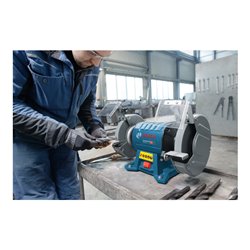 Bosch Doppelschleifmaschine GBG 60-20