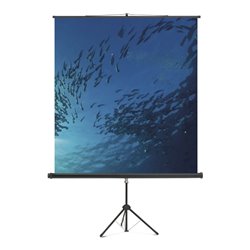 Magnetoplan Stativ Leinwand Standard, 2000 x 2000 mm