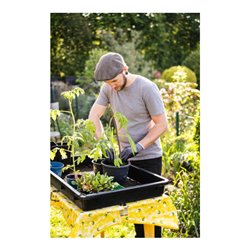 HAZET Mehrzweckwanne, 50 l 197-50