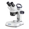 KERN Stereomikroskop OSF 438