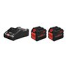 Bosch Akku Starter-Set: 2 x ProCORE 18 Volt 12,0 Ah GAL 18V-160 C und GCY 30-4