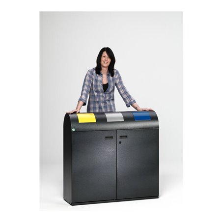 VAR Wertstoffsammelstation WS 100R antik-silber 240 l