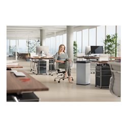 Hailo Big-Box Swing XL, Großraum-Müllbox, 52 ltr, Silber