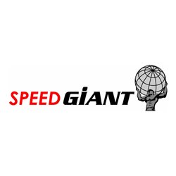 VIGOR Stabschleifer Satz mini V6906