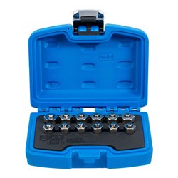 BGS Injektor-Verschlussstopfen-Satz 12 teilig