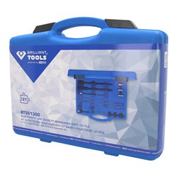 Brilliant Tools Injektorsitz- und Schacht-Reinigungs-Satz, 21-tlg