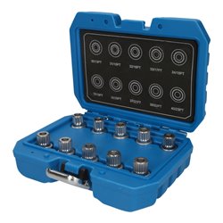 Brilliant Tools Felgenschloss-Sortiment für BMW, 10-tlg ,BT691290