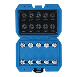 Brilliant Tools Felgenschloss-Sortiment für BMW, 10-tlg ,BT691290