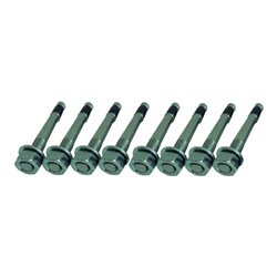 Schake Befestigungsschraubensatz Typ 3 8 Stück Fixanker M16 x150mm, verzinkt