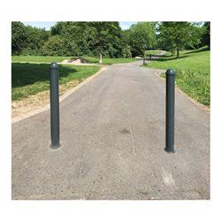 Schake Stilpoller Typ 496B, ortsfest, zum Einbetonieren, Ø 102mm + Zierkappe, beschichtet,