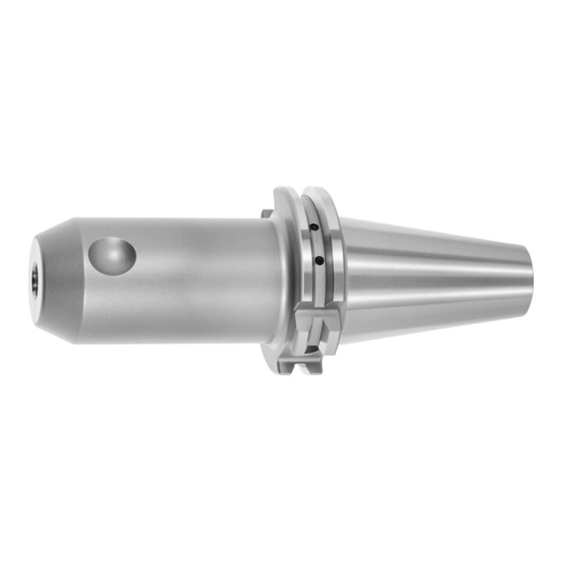 Holex Flächenspannfutter Form AD, SK 40 A  100, Spann-⌀ D1: 6 mm